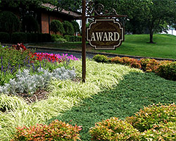 Landscape Maintenance - Commercial