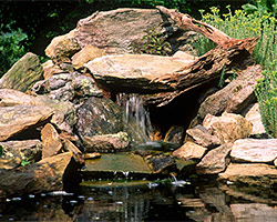 Water Features