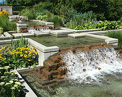 Water Features