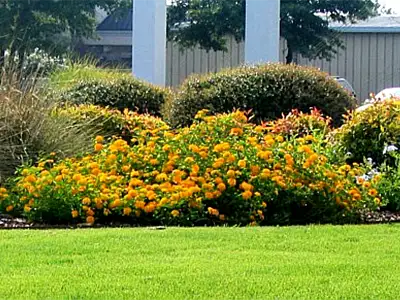 Landscape Design & Installation, Danville, AL