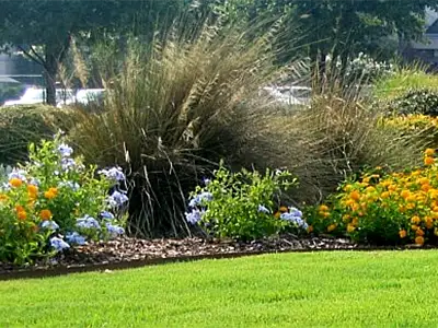 Landscaping Services, Decatur, AL