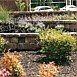 Retaining Walls