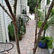 Sidewalks & Patios