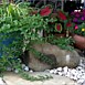 Container Gardening