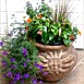 Container Gardening